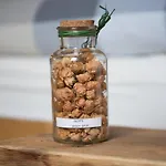 Dvorec krevet i doručak Petrovce