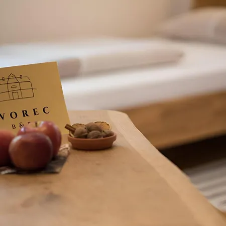 فندق مبيت وإفطار Dvorec Petrovče