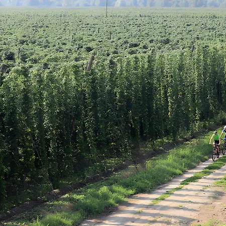 Bed & Breakfast Dvorec