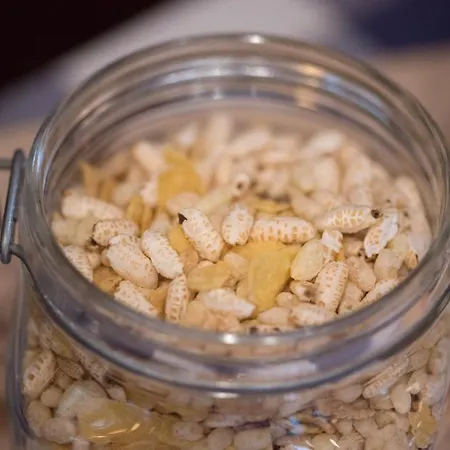 Dvorec Bed & Breakfast Petrovce