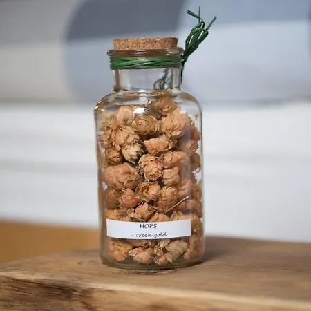 Dvorec לינה וארוחת בוקר Petrovče