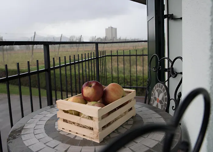 Dvorec Bed & Breakfast 3*