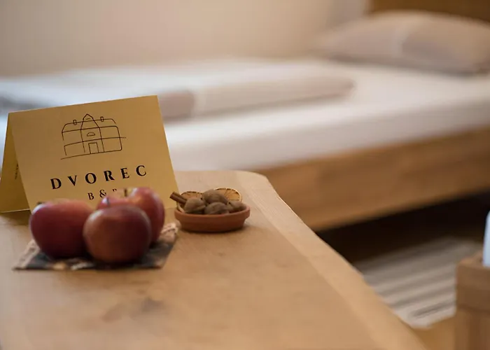 Bed & Breakfast Dvorec Petrovče