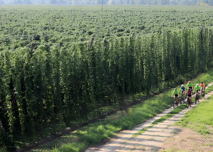 Bed & Breakfast Dvorec