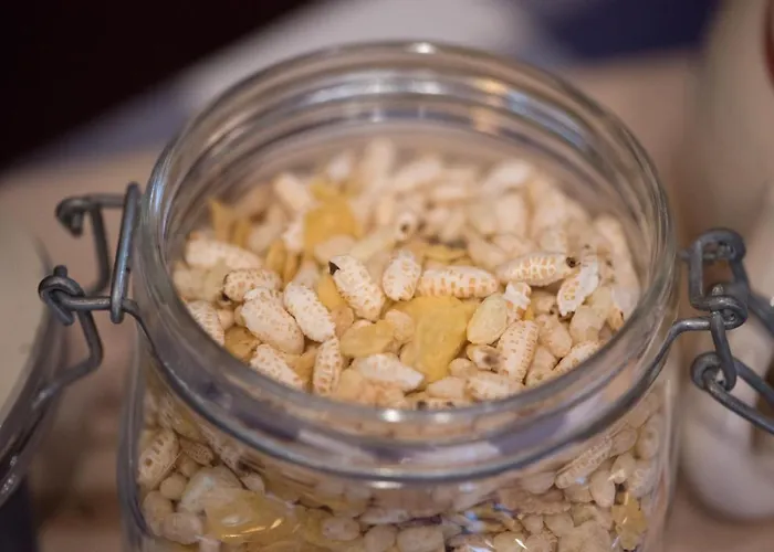 Dvorec Bed & Breakfast Petrovce