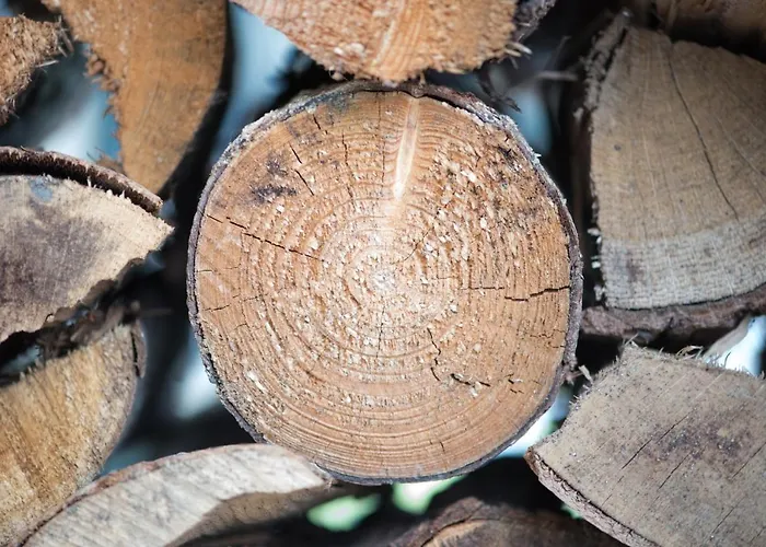 Bed & Breakfast Dvorec