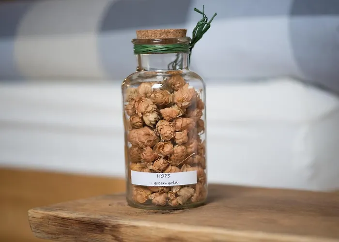 Dvorec Bed & Breakfast Petrovče